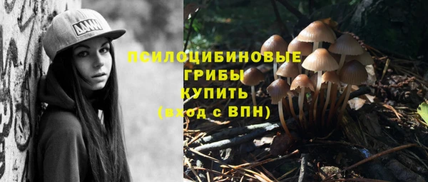 шишки Россошь