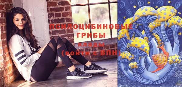 не бодяженный Абаза