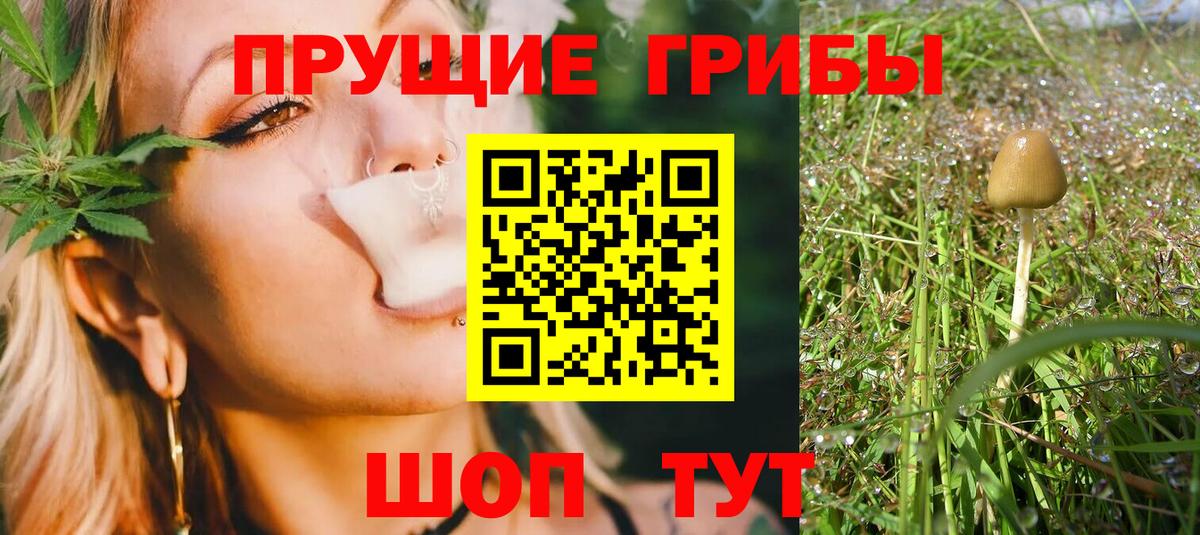 Псилоцибиновые грибы MAGIC MUSHROOMS  Галлюциногенные грибы GOLDEN TEACHER  Егорьевск  Вход с VPN 