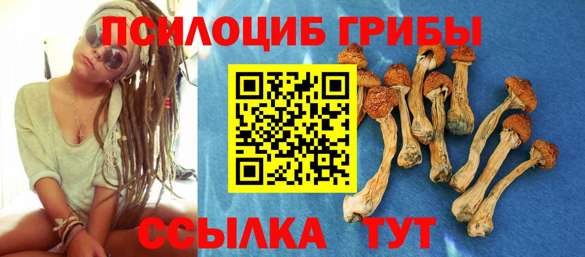 Галлюциногенные грибы мухоморы Егорьевск