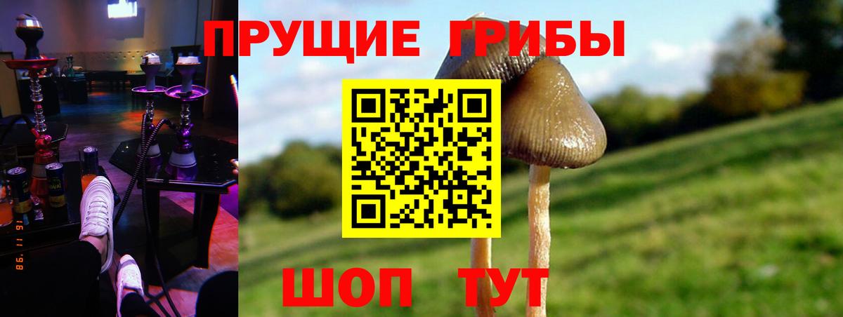 Галлюциногенные грибы MAGIC MUSHROOMS Егорьевск